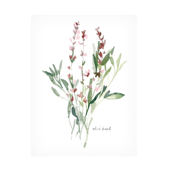 Emma Scarvey 'Herb Garden Sketches V' Canvas Art