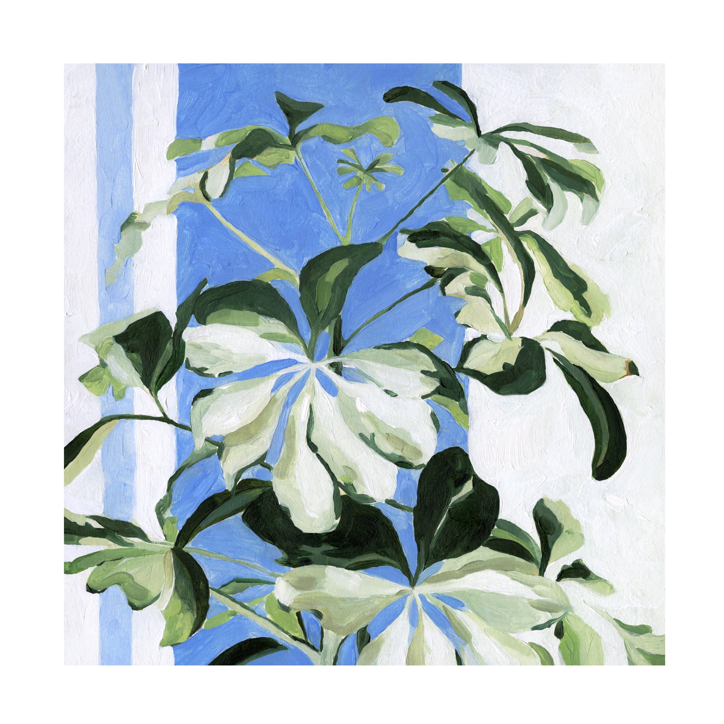 Emma Scarvey 'Indoor Plant II' Canvas Art