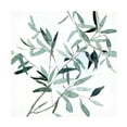 thumbnail image 1 of Emma Scarvey 'Serene Eucalyptus II' Canvas Art, 1 of 3