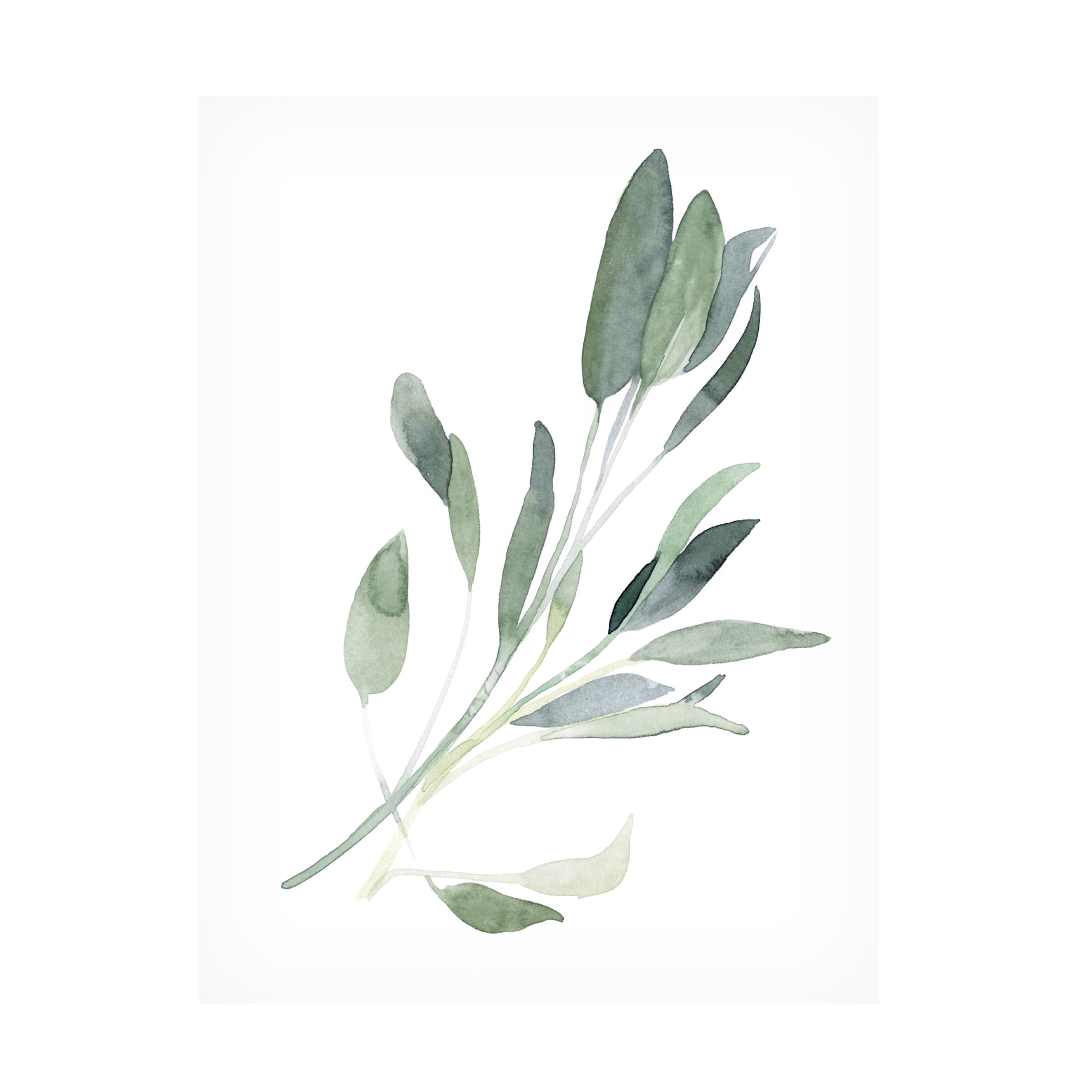 Emma Scarvey 'Simple Sage I' Canvas Art