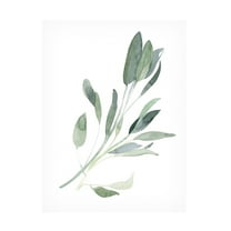 Emma Scarvey 'Simple Sage I' Canvas Art