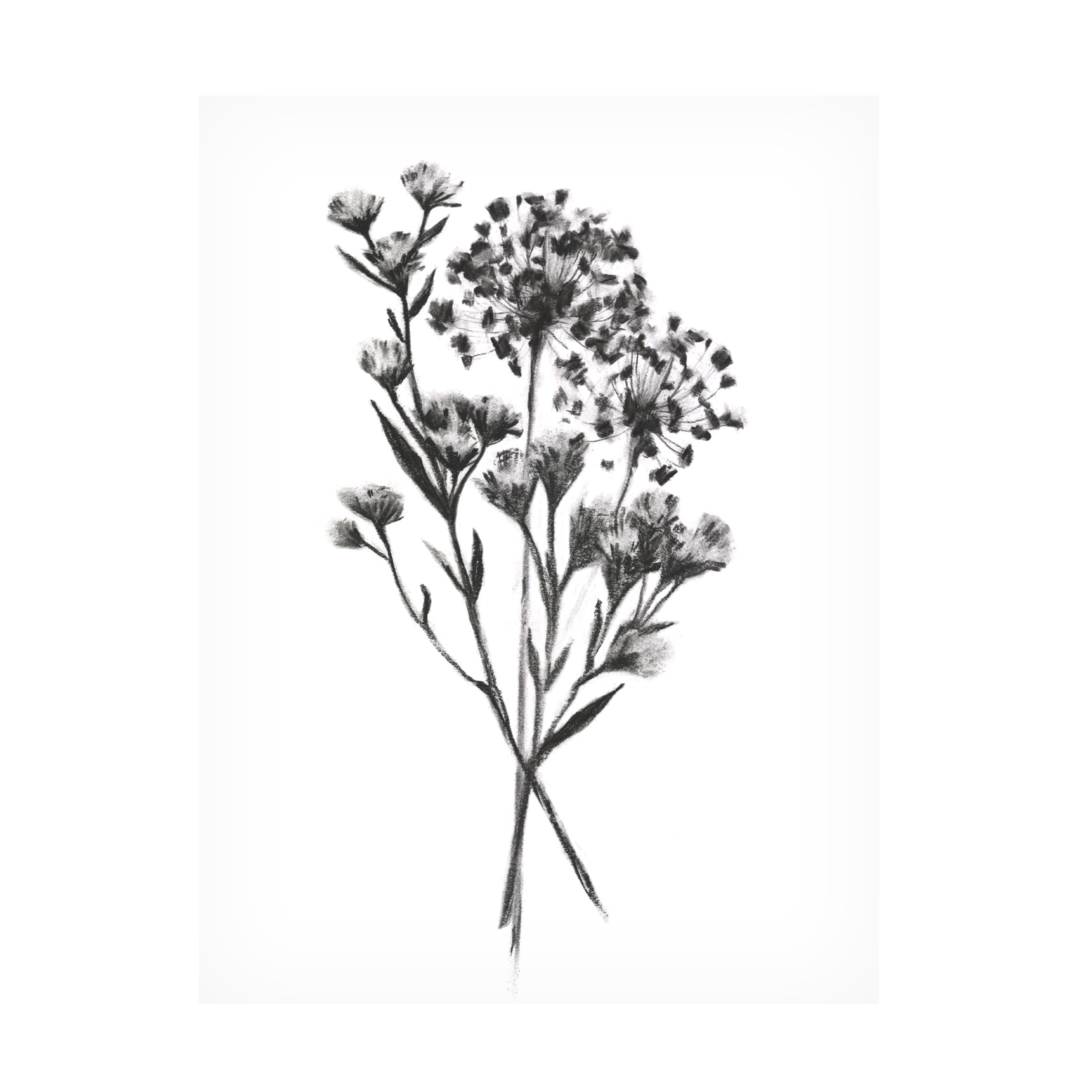 Emma Scarvey 'Wild Roadside Bouquet II' Canvas Art