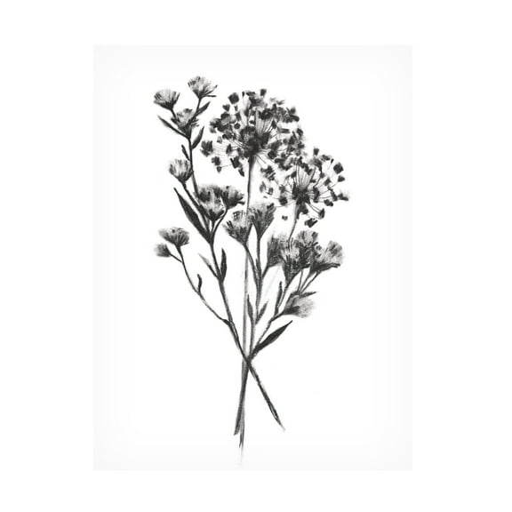 Emma Scarvey 'Wild Roadside Bouquet II' Canvas Art