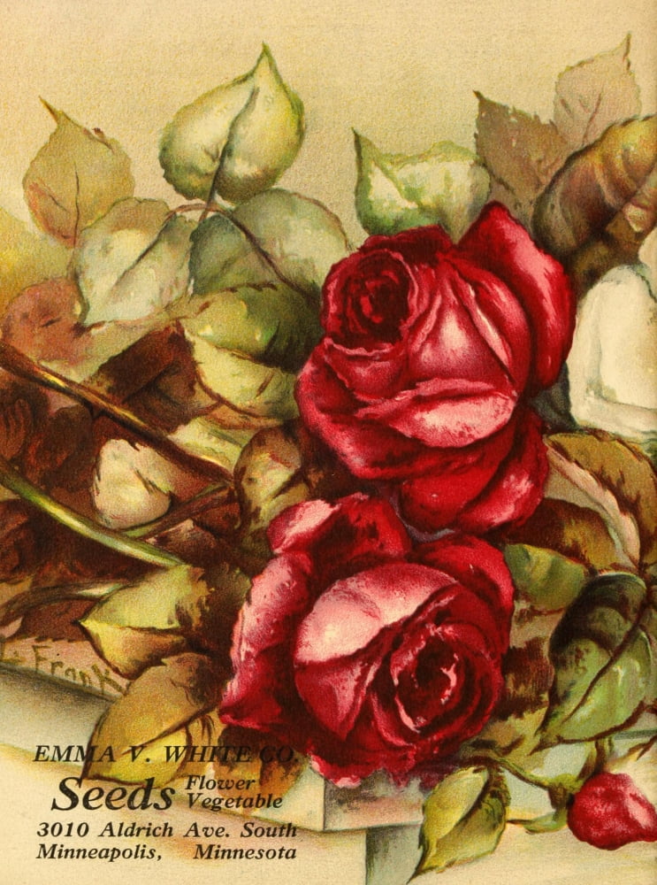 Emma V Catalogue 1921 Red Roses Canvas Art - L Frank (24 x 36)