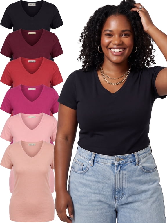 Women’s Plus Size Short Sleeve V-Neck Fitted Top Vivid Berry & Blush Mix 1XL