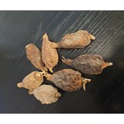 Emmivans Alligator Pepper Pods, Authentic African Spice, Bold & Aromatic Flavor - 6 Whole Pods