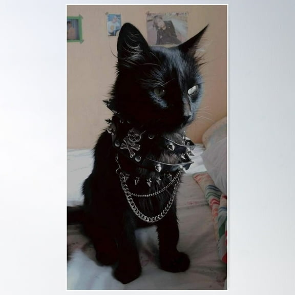 Emo Cat Poster Wall Art, Modern Wall Decor For Living Room Bedroom, 8x12 UNFRAMED