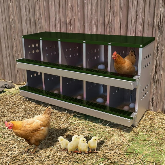 Emorefun Chicken Coop Nesting Boxes with Compartments, Roll Away Chicken Laying Boxes W/Bottom Grate & Upper Protective Panel, Green