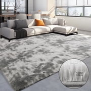 Qunler 5 x 8 Rug for Living Room, Large Washable Shag Rug, Indoor Modern Tie-dye Area Rugs for Bedroom, Rectangle Fluffy Home Carpets, Gray