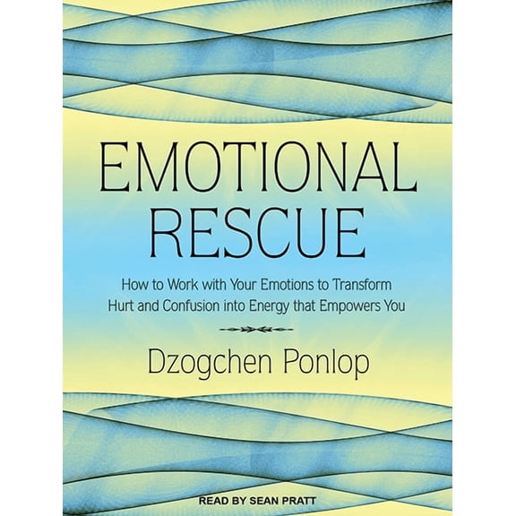Emotional Rescue: How to Work with Your Emotions to Transform Hurt and Confusion Into Energy That Empowers You