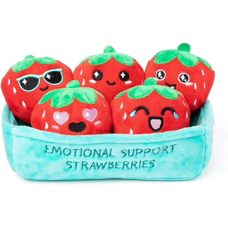  What Do You Meme? Emotional Support Strawberries