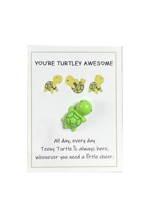 Emotional Supports Turtles Card Pockets Hug Turtles Decorations Emotional Supports