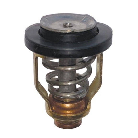 Emp Thermostat (75-75510)