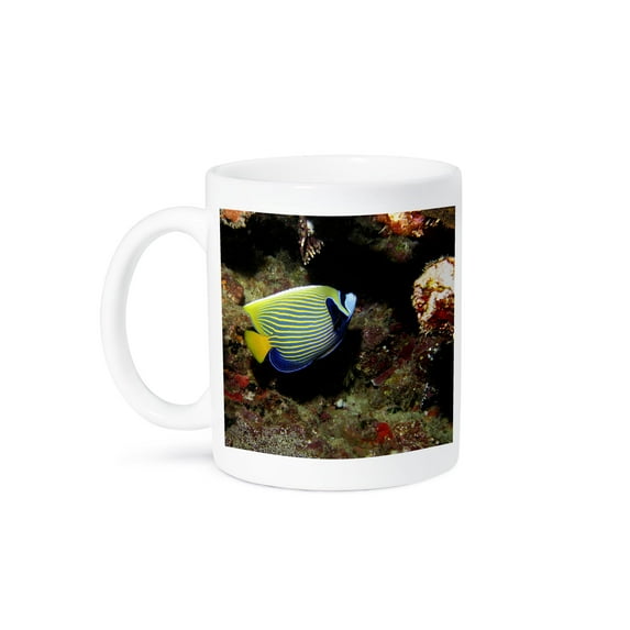 Emperor Angelfish, Great Barrier Reef, Australia-Au01 Dwa3049 - David Wall, 15oz Mug