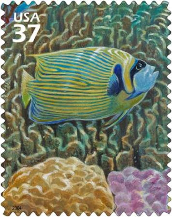 Emperor Anglefish Canvas Art - US POSTAL SERVICE (24 x 30)