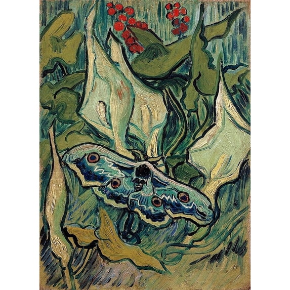 Emperor Moth Poster Print by Vincent Van Gogh (24 x 36)