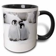 thumbnail image 1 of 3drose, Emperor Penguins on Ice, Snow Hill Island, Antarctica-an02 Ksu0045 - Keren Su, 11oz Two-tone Black Mug, 1 of 6