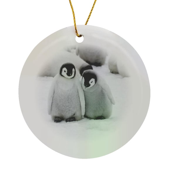 3drose, Emperor Penguins on Ice, Snow Hill Island, Antarctica-an02 Ksu0045 - Keren Su, Circle Porcelain Ornament