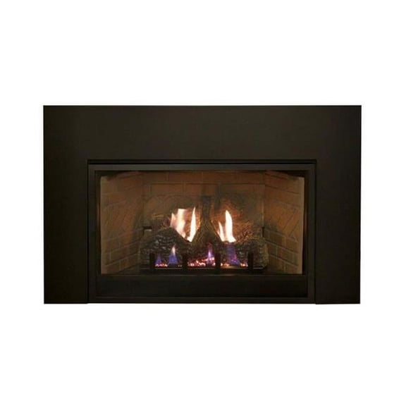 Gas Fireplace Insert Blower