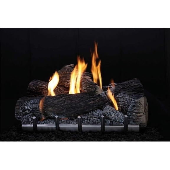 Empire 30 in. Liquid Propane Variable Remote Harmony Burner