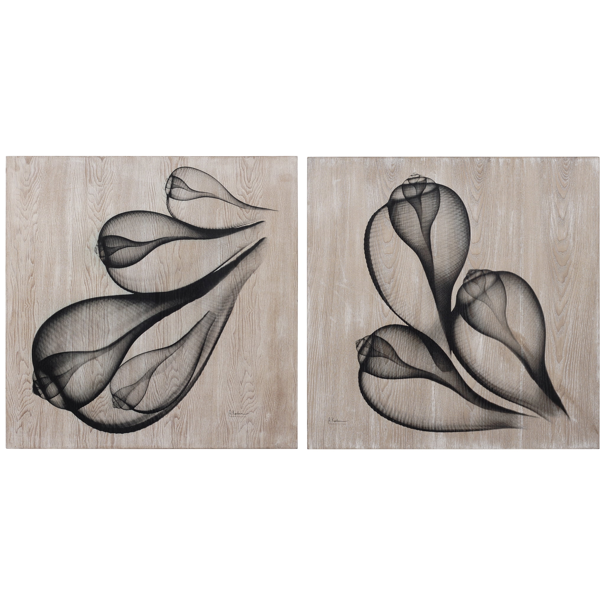 Empire Art Coastal Serenity I & II Abstract Photography, Set of 2, by Albert Koetsier