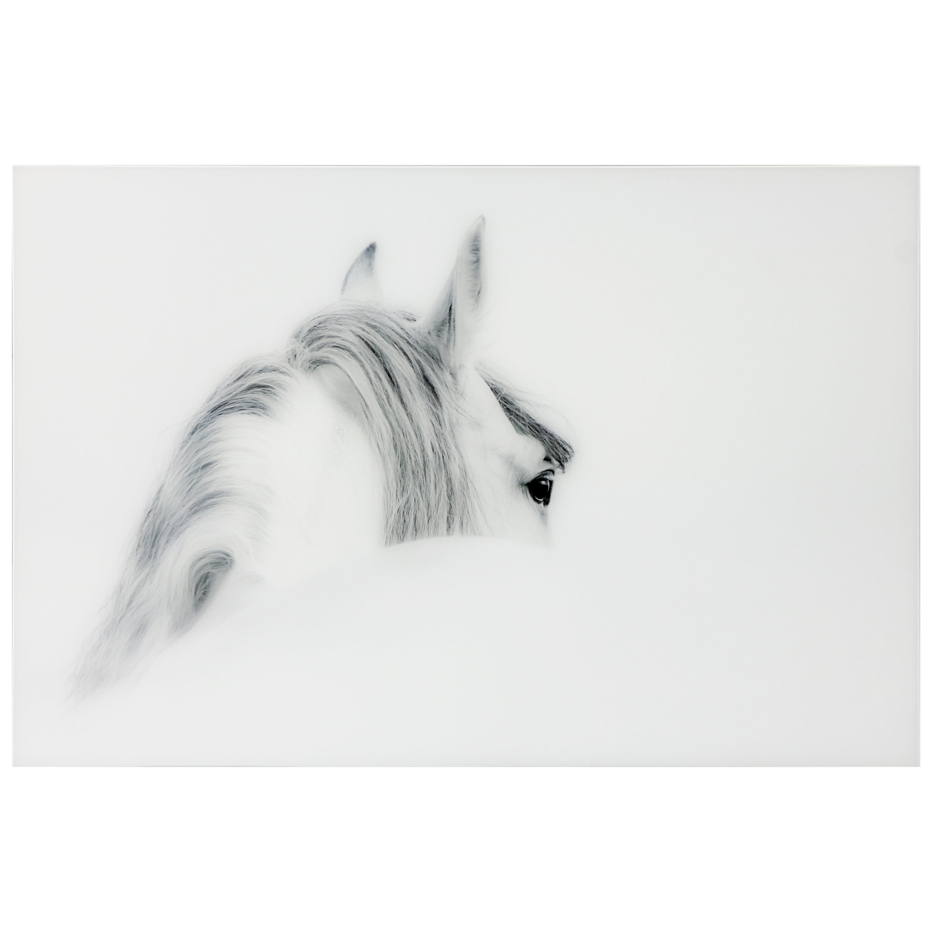 Empire Art Direct Blanco Mare Horse Frameless Free Floating Tempered Glass Panel Graphic Wall Art, 48" x 32" x 0.2", Ready to Hang