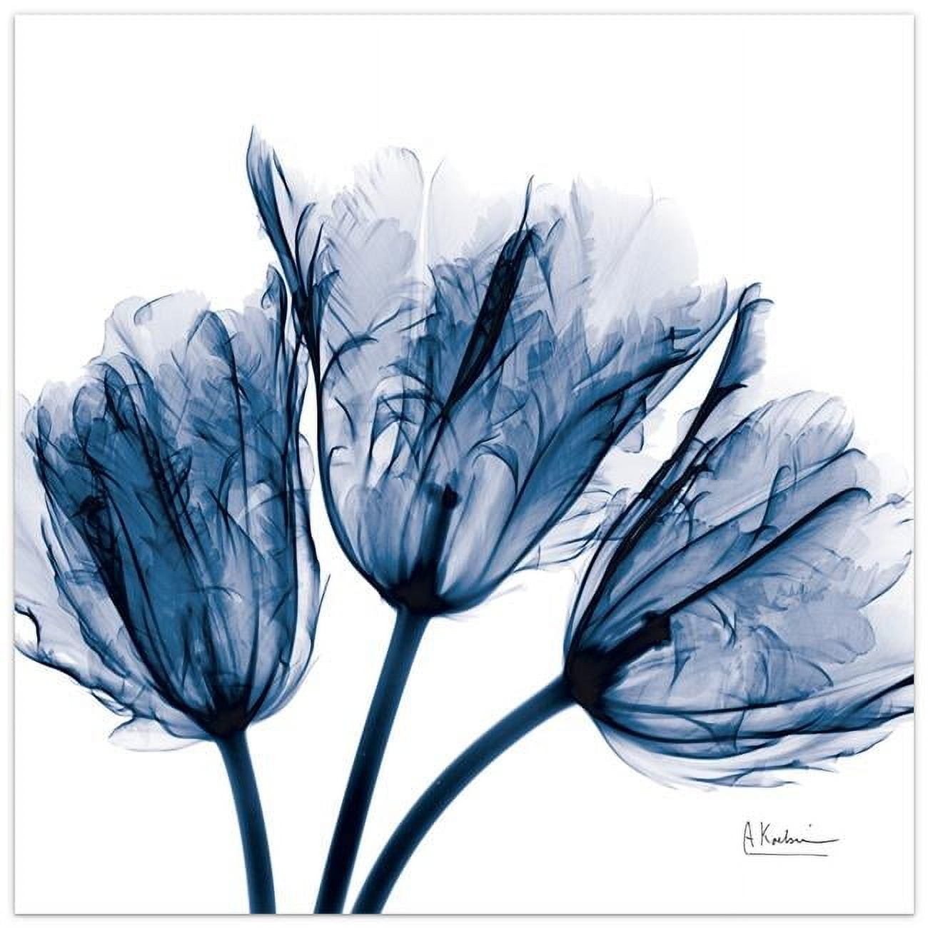 Empire Art Direct Blue Tulip X-Ray Frameless Free Floating Tempered Glass Panel Graphic Wall Art, 24" x 24" x 0.2", Ready to Hang