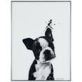 thumbnail image 1 of Empire Art Direct Boston Terrier Black and White Pet Paintings on Reverse Printed Glass Framed Dog Wall Art, 24" x 18" x 1", Ready to Hang, 1 of 9