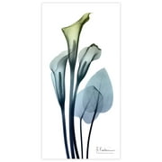 Empire Art Direct Calia Lily Frameless Free Floating Tempered Glass Panel Graphic Flower Wall Art, 24" x 48" x 0.2", Ready to Hang