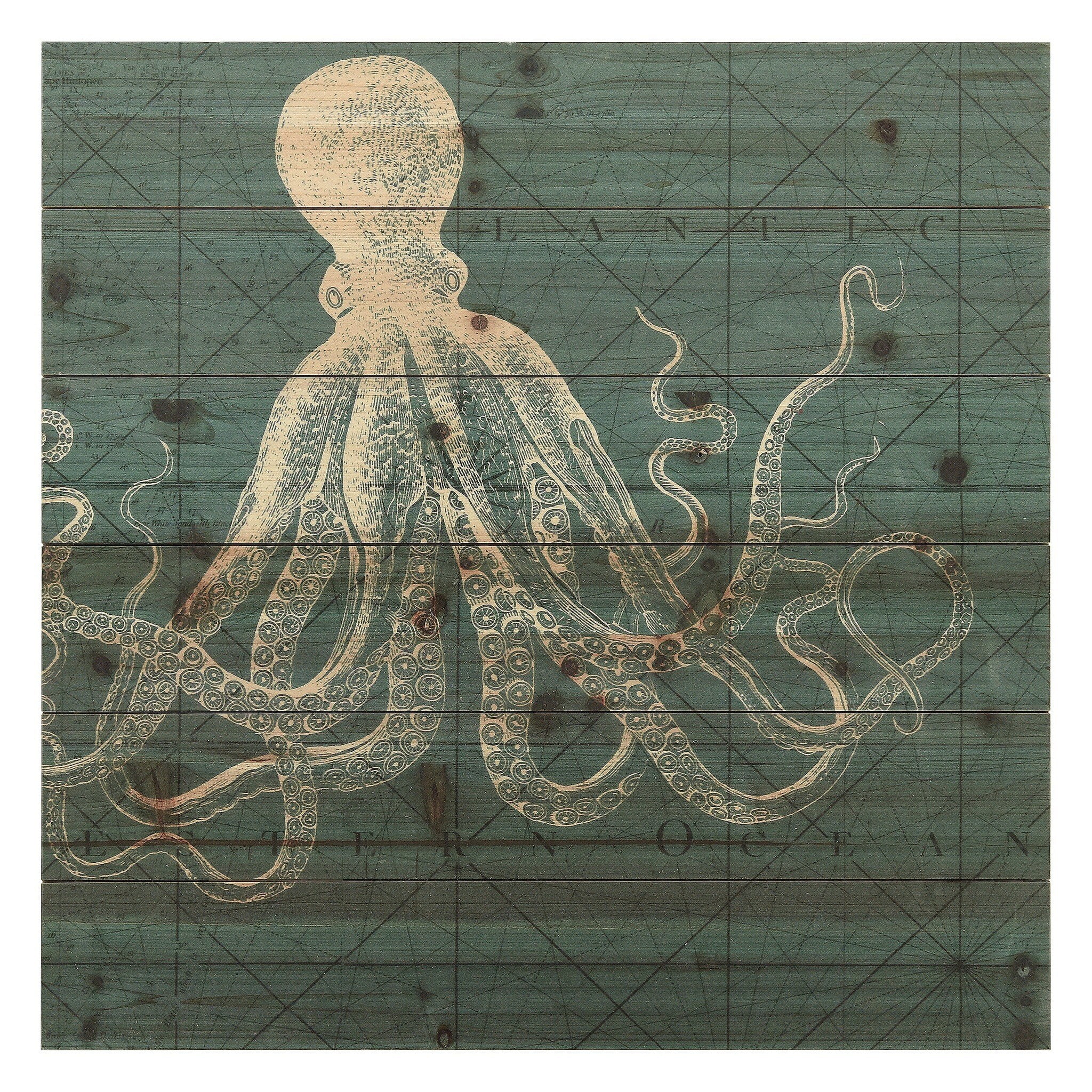 Octopus Coastal Menagerie Print on Fir Wood Wall Art