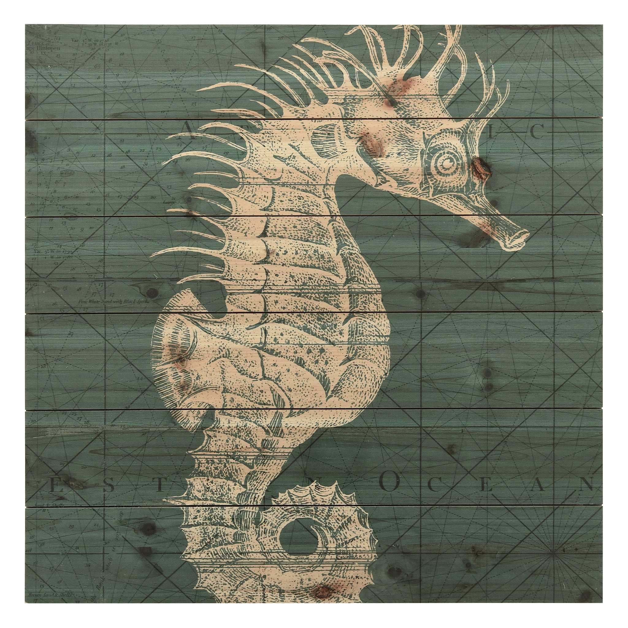 Coastal Menagerie Seahorse Print on Fir Wood Wall Art
