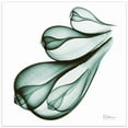 thumbnail image 1 of Empire Art Direct Coastal Serenity I Frameless Free Floating Tempered Glass Panel Graphic Wall Art, 24" x 24" x 0.2", Ready to Hang, 1 of 13
