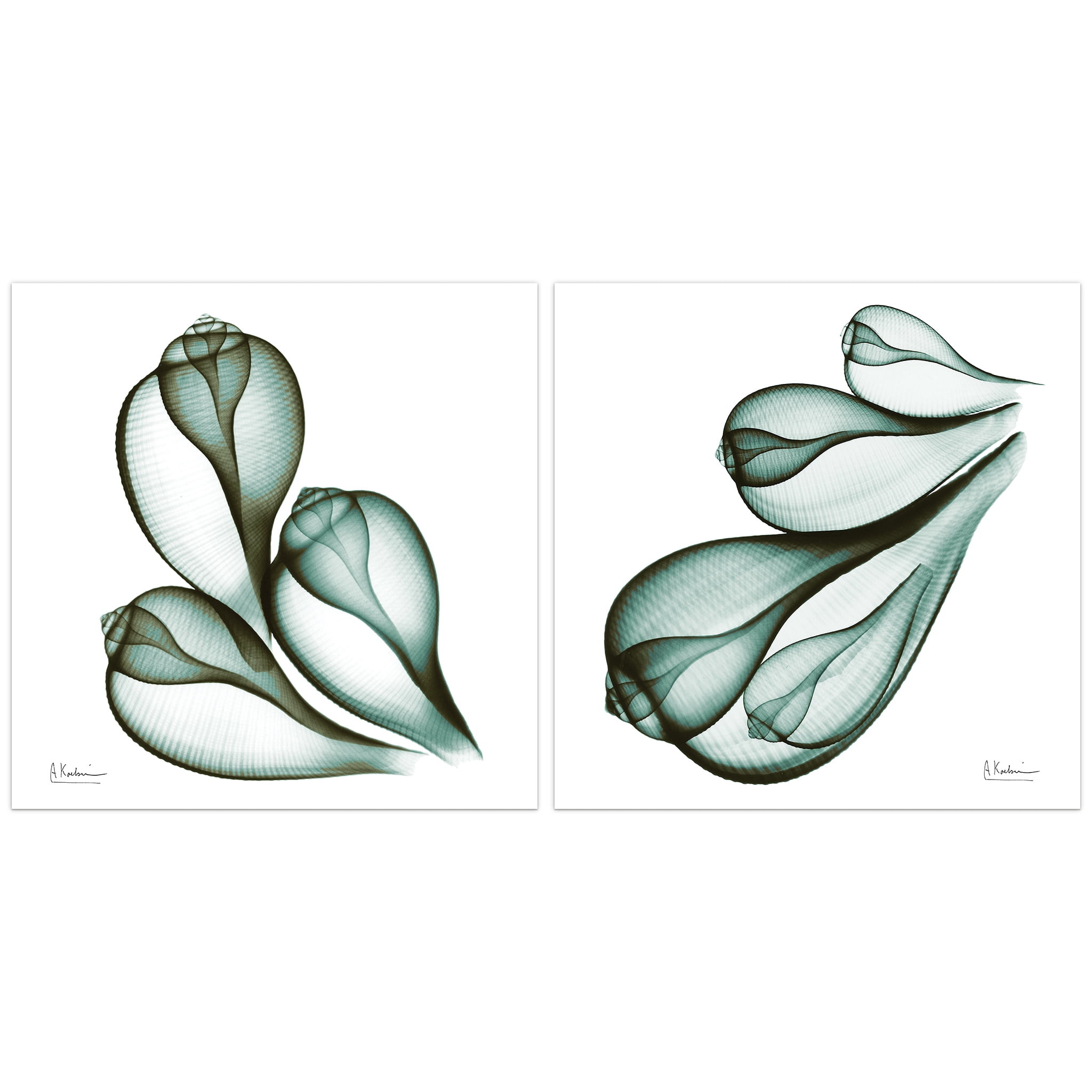 Empire Art Direct Coastal Serenity I & II Frameless Free Floating Tempered Glass Panel Graphic Wall Art, 24" x 24" each, Ready to Hang
