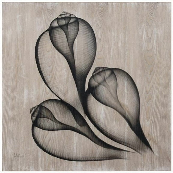 Empire Art Direct FAL-AK320B-2424 Coastal Serenity II Fine Radiographic Photography Hi Definition Giclee Printed Directly on Hand Finished Ash Wood Wall Art by Albert Koetsier