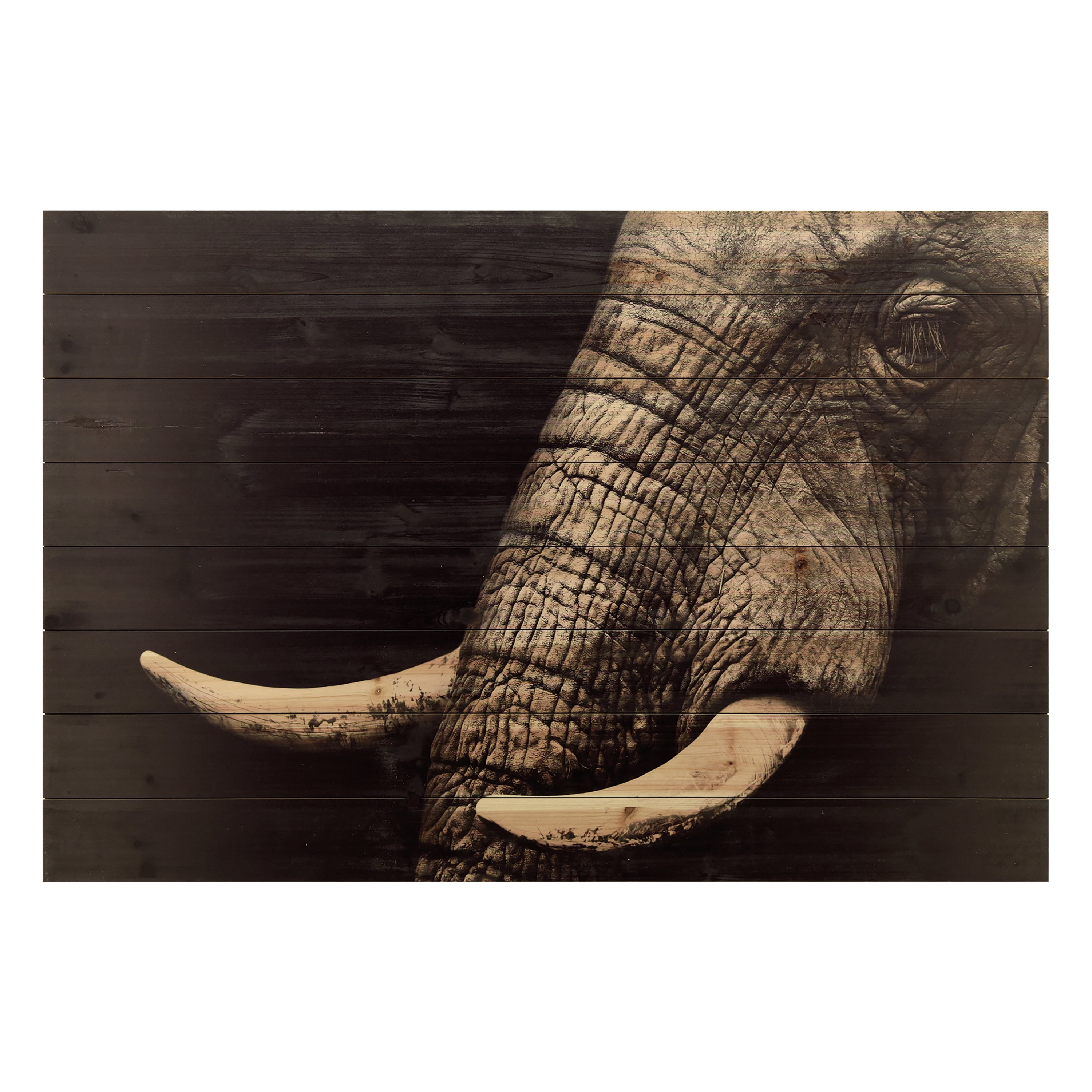 Empire Art Direct Elephant Print on Solid Wood Wall Art, 30" x 45", Ready to Hang