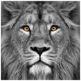 thumbnail image 1 of Empire Art Direct King of the Jungle Frameless Free Floating Tempered Glass Panel Graphic Wall Art, 38" x 38" x 0.2", Ready to Hang, 1 of 9