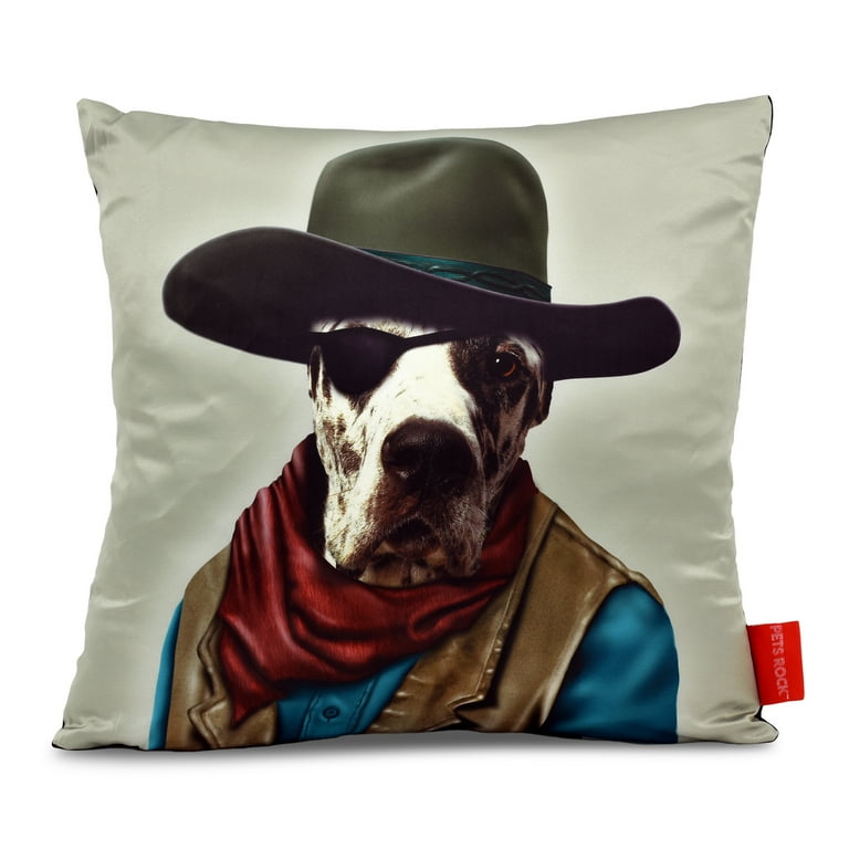 The old cheap empire pillow
