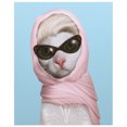 thumbnail image 1 of Empire Art Direct Pets Rock Princess Graphic Art on Wrapped Cat Canvas Wall Art, 1 of 9