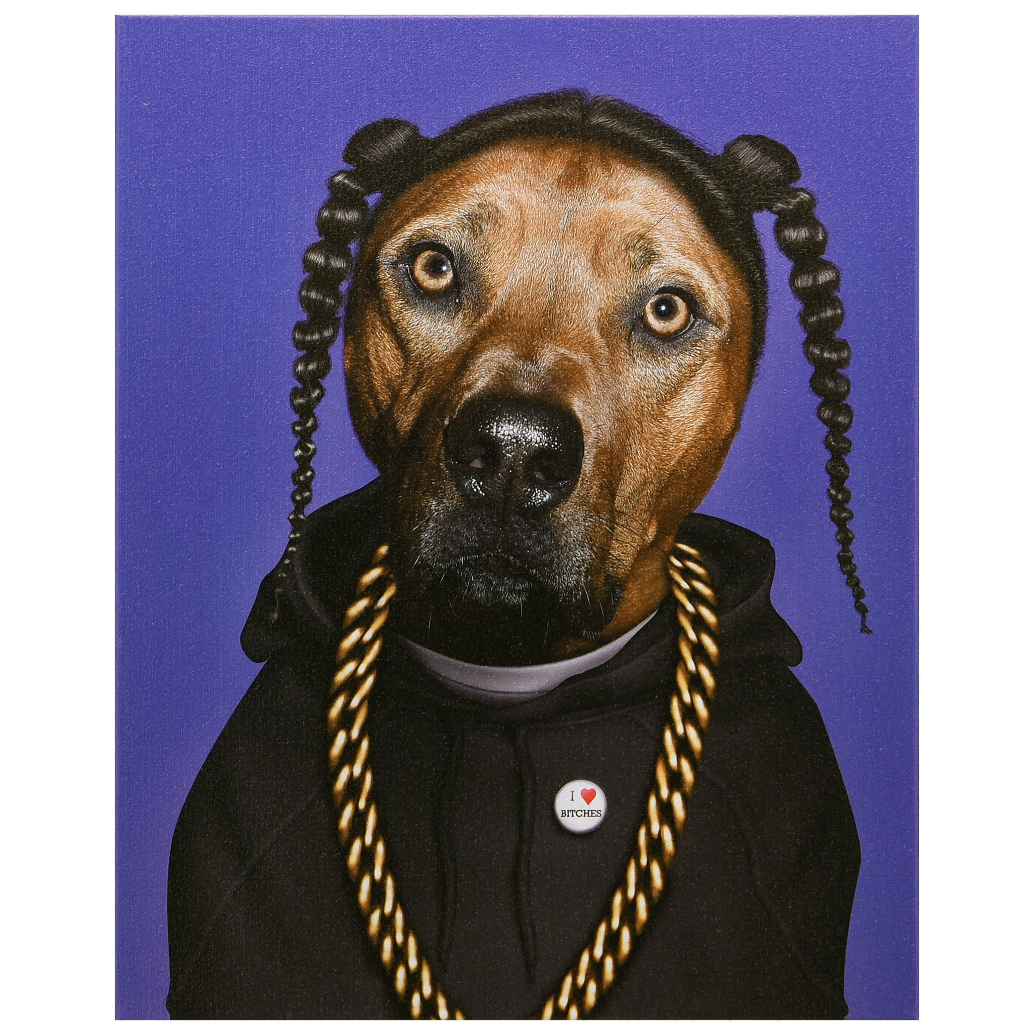 Empire Art Direct Pets Rock Rap Graphic Art on Wrapped Canvas Dog Wall Art  