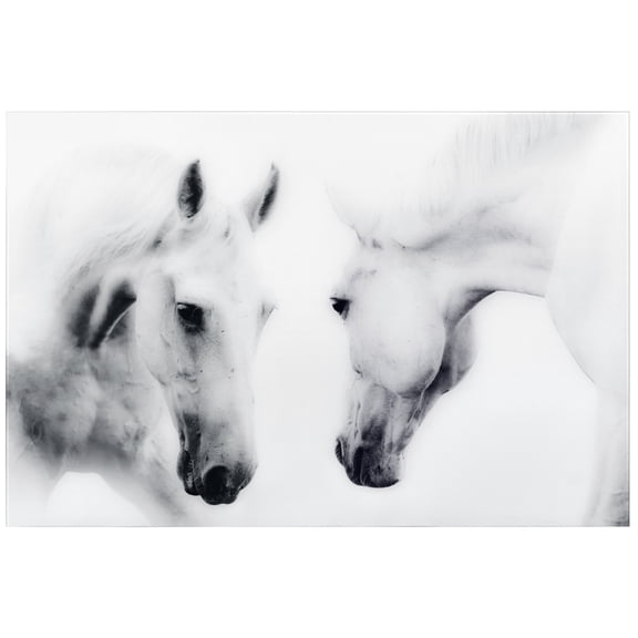 Empire Art Direct Reflection Frameless Free Floating Tempered Glass Panel Graphic Wall Art, 32" x 48" x 0.2", Ready to Hang