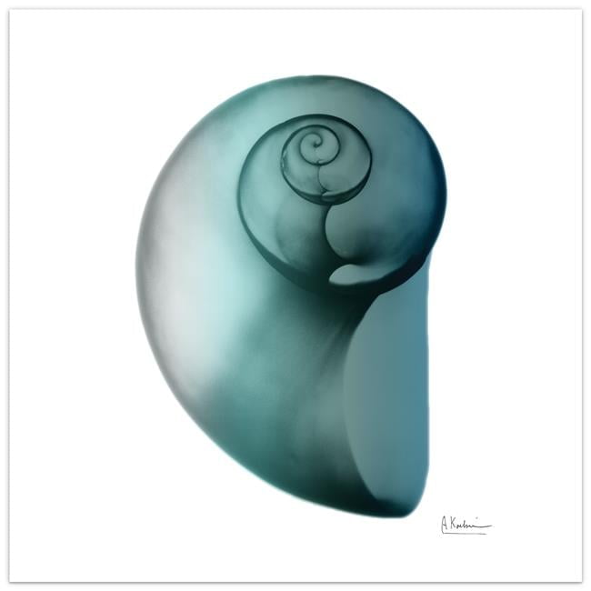 Shimmering Snail II 24" x 24" Tempered Glass Wall Art