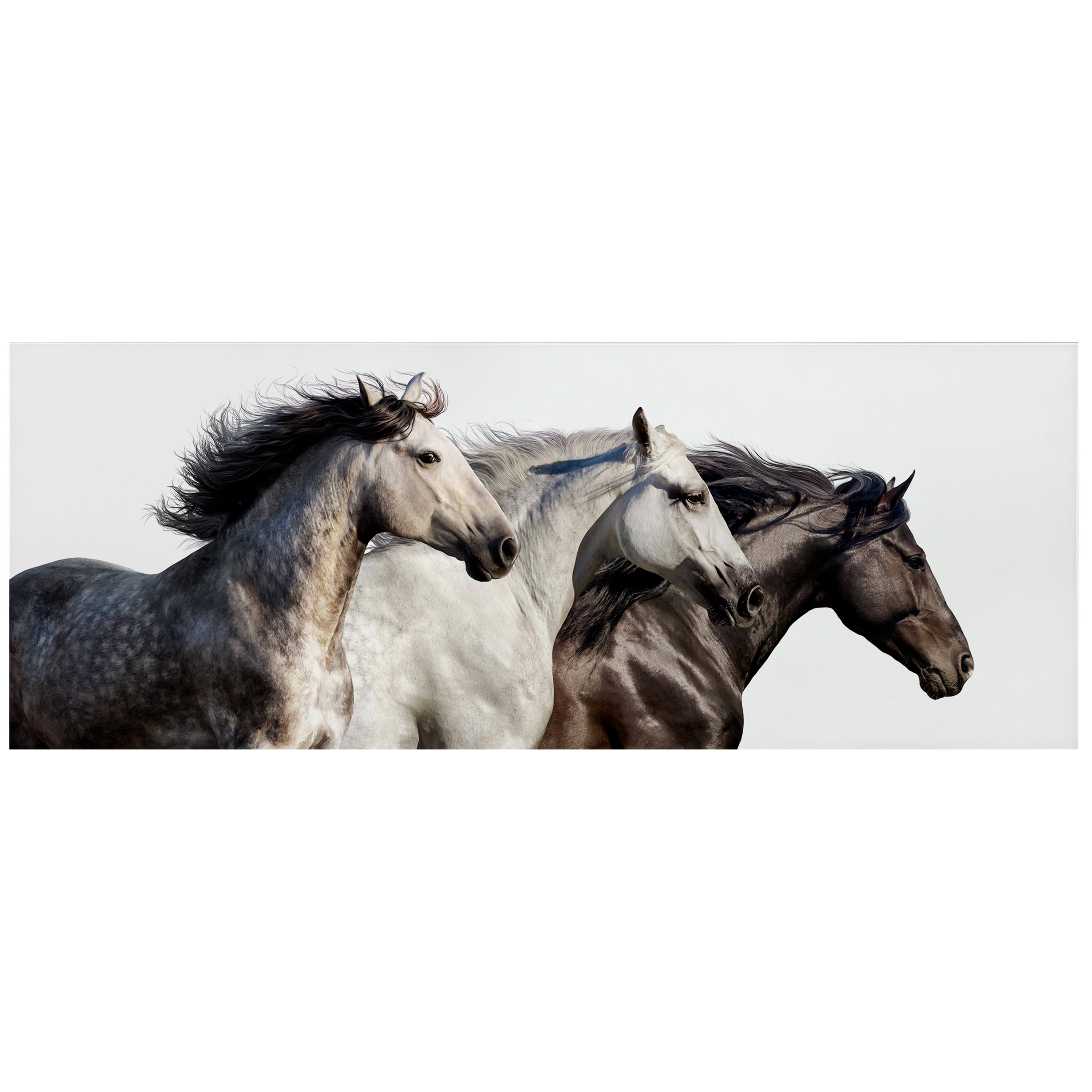Empire Art Direct Trilogy 1 Frameless Free Floating Tempered Glass Panel Graphic Wall Art, 24" x 63" x 0.2", Ready to Hang