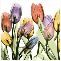 Empire Art Direct Tulip Scape X-Ray I Frameless Free Floating Tempered Glass Panel Graphic Wall Art, 24" x 24" x 0.2", Ready to Hang