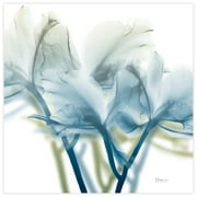 Empire Art Direct Unfocused Beauty 3 Frameless Free Floating Tempered Glass Panel Graphic Flower Wall Art, 24" x 24" x 0.2", Ready to Hang