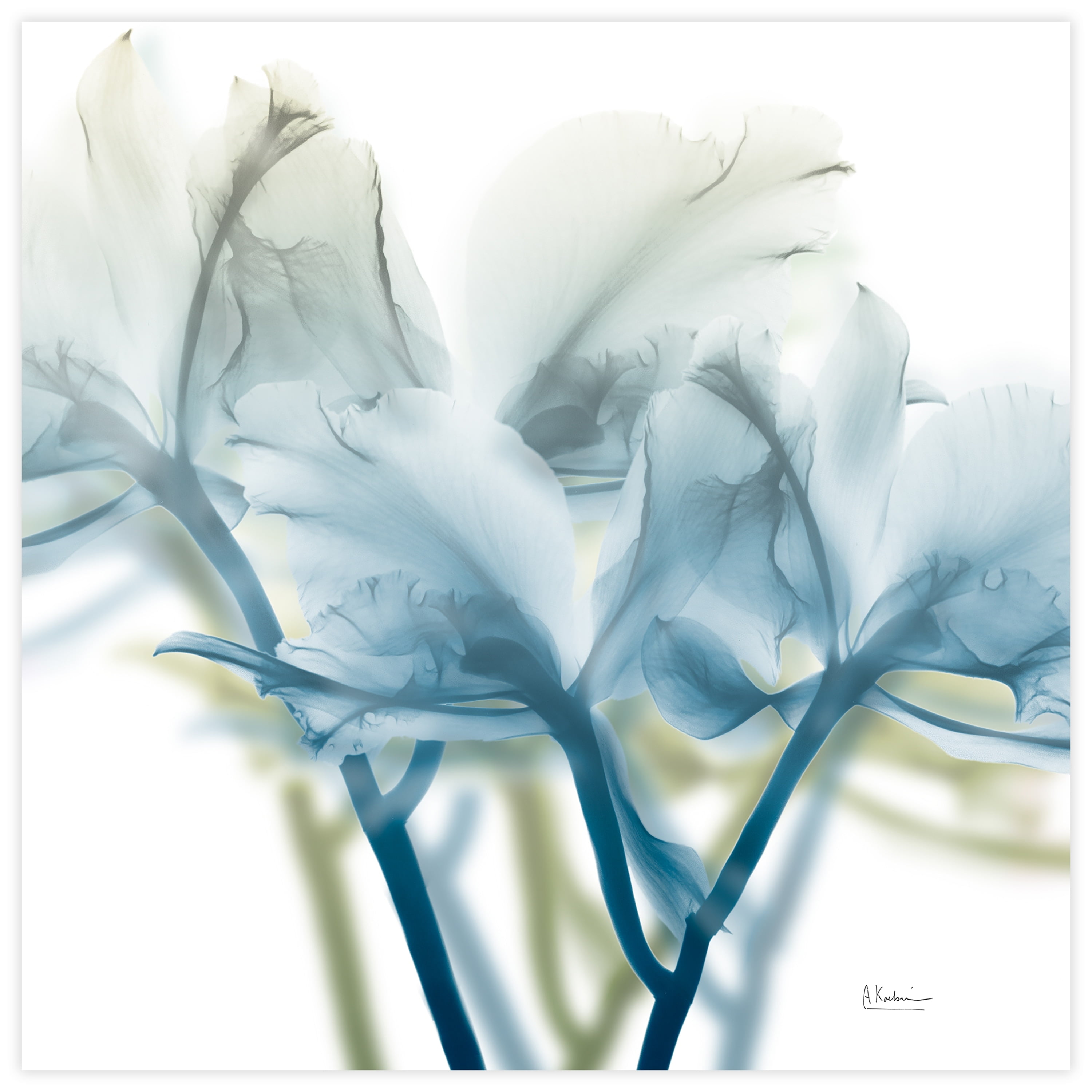 Empire Art Direct Unfocused Beauty 3 Frameless Free Floating Tempered Glass Panel Graphic Flower Wall Art, 24" x 24" x 0.2", Ready to Hang