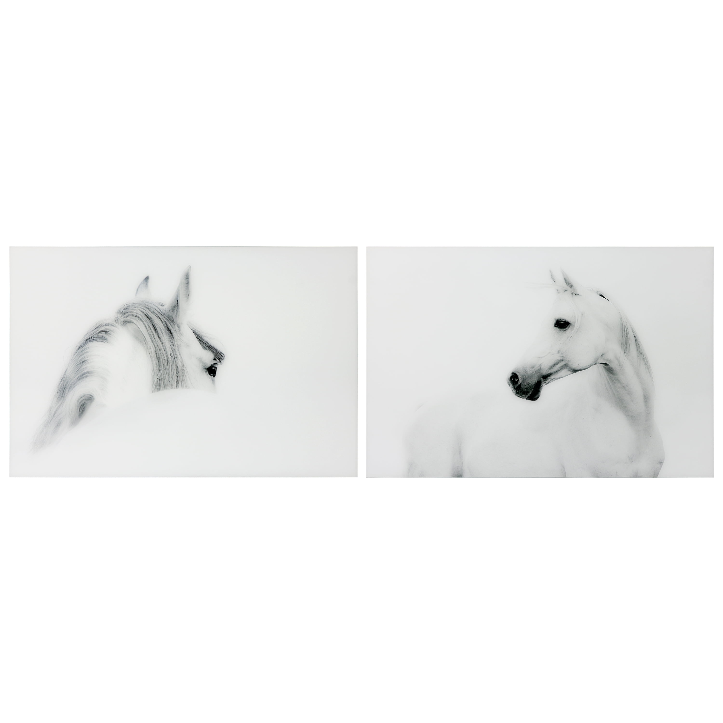Empire Art Direct White Horses Set Frameless Free Floating Tempered Glass Panel Graphic Wall Art, 48" x 32" each, Ready to Hang