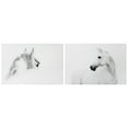thumbnail image 1 of Empire Art Direct White Horses Set Frameless Free Floating Tempered Glass Panel Graphic Wall Art, 48" x 32" each, Ready to Hang, 1 of 9