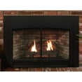 thumbnail image 1 of Empire DVC20IN71P Propane Blower Direct-Vent Clean Face IP Fireplace Insert Log Set - Small, 1 of 1