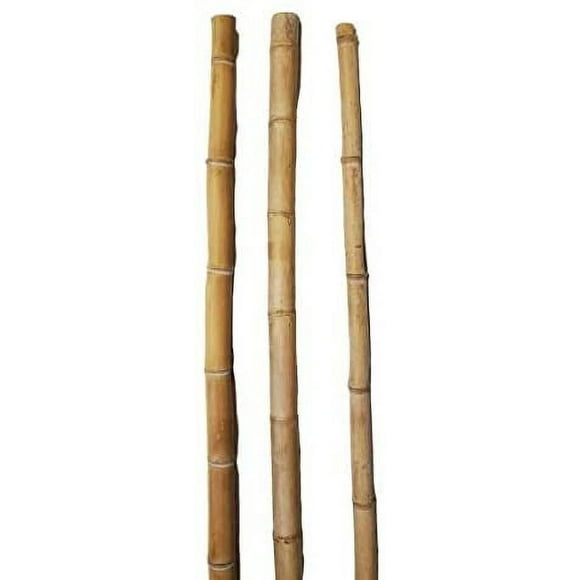Empire Home 6ft Bamboo Poles, Natural Yellow Rust Resistant (3 Pack)