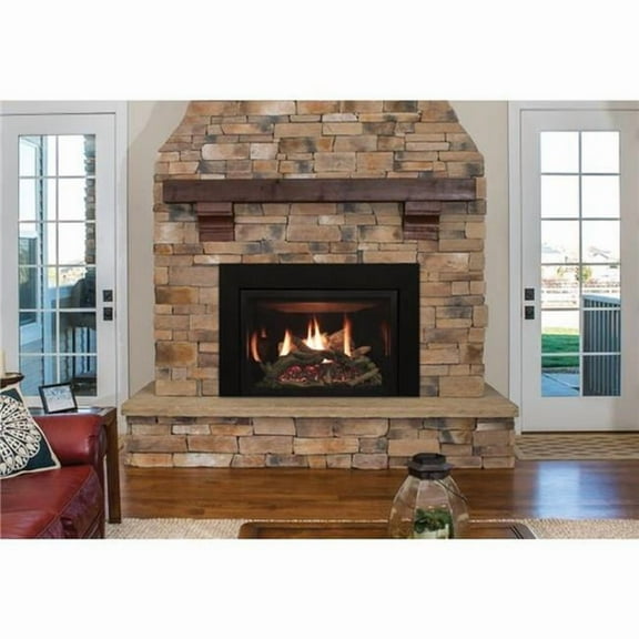Empire Multifunction Natural Gas Remote Rushmore Direct Vent Fireplace Insert